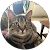 Sophie Sophie Sophie Sophie
