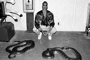 Shabazz Palaces