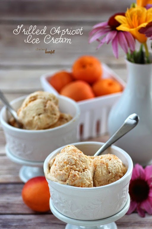 1-dd-Apricot-Ice-Cream-11-600x900