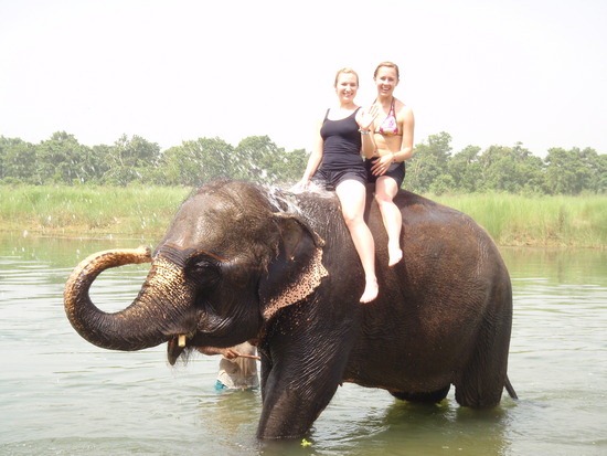[1.1276122366.elephant-bath%255B5%255D.jpg]