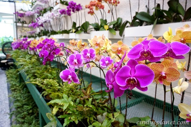 [The%2520Majestic%2520Hotel%2520Orchid21%255B2%255D.jpg.webp]