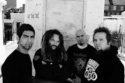 SoulFly