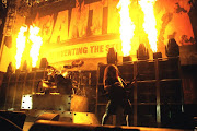 Pantera