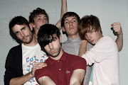 Foals