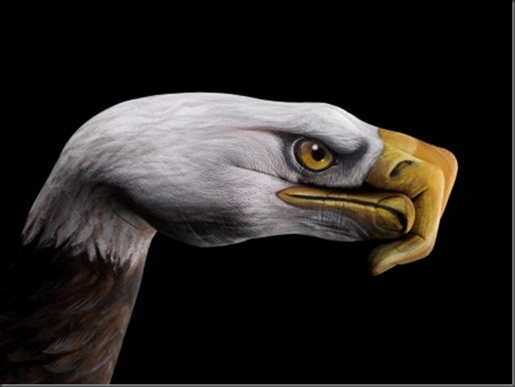 Bald-Eagle-on-black1-Коллекция Handimals Гвидо Даниэле Guido Daniele,животные, BodyArt, Photo,фото, бодиарт на руках, Даниэле является всемирно известным, Его работы даниэле, были подобраны для кампании, Всемирный фонд дикой природы WWF, Animal Planet,художник,картинки животных,птицы,рыбы,лев,кот,орёл,попугай