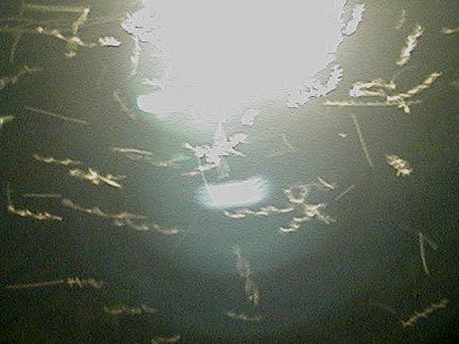 [75354839_rods6%255B9%255D.jpg]