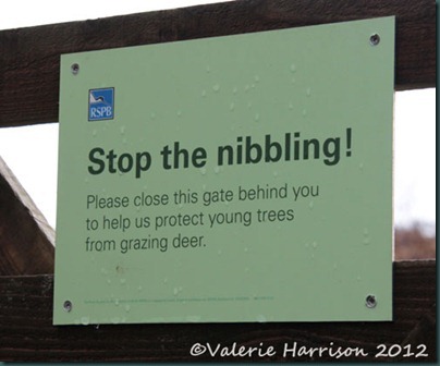 5-nibbling-sign