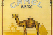 Camel