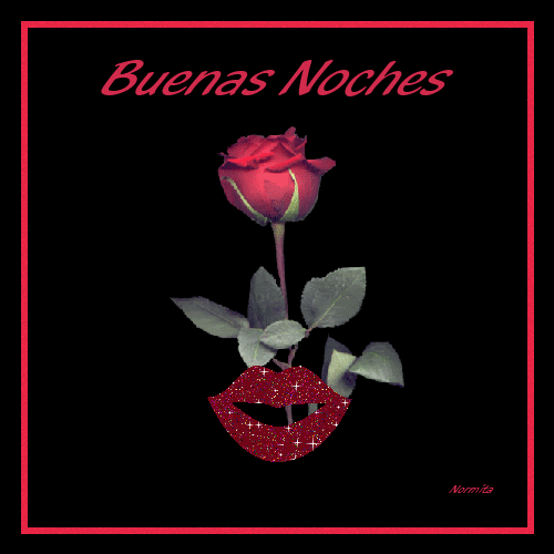 BUENAS NOCHES (31)