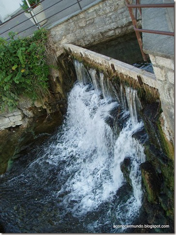 52-Cataratas del Rin (Schafhausen) - P9050218