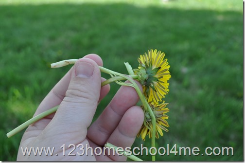 how to make a flower crown kids activitiy how to make a flower crown kids activitiy