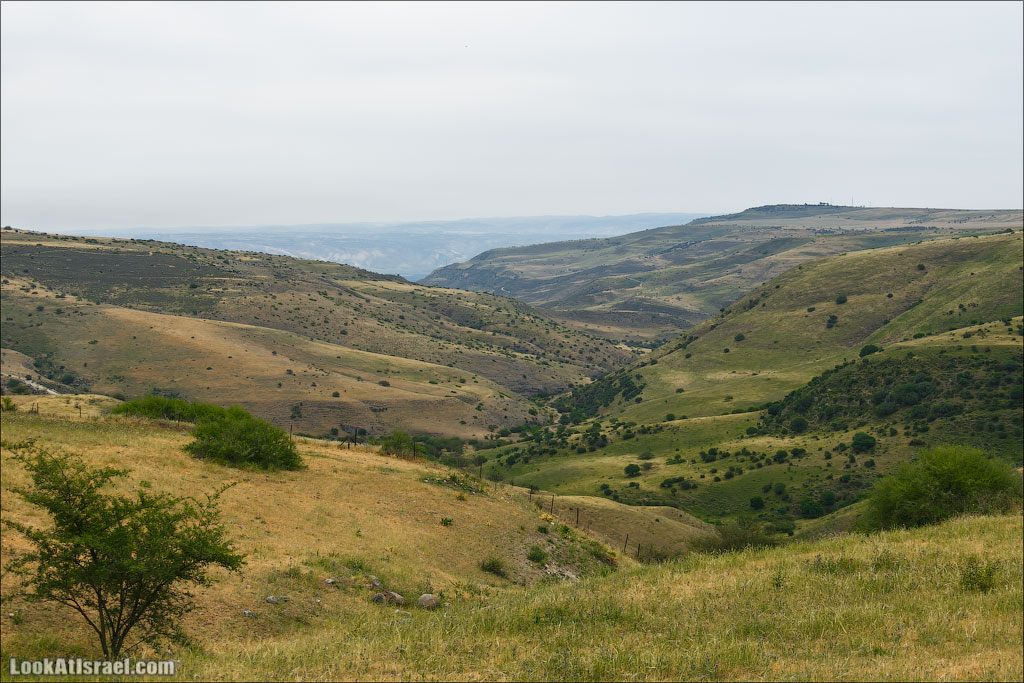 LookAtIsrael.com: Фото-блог о путешествиях по Израилю. Тель Авив, Иерусалим, Хайфа 