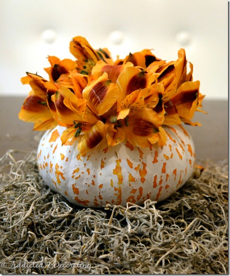 miniature pumpkin vase--painted pumpkin