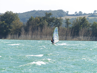 P1011486.JPG