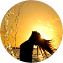 Silvia Martinez profile picture