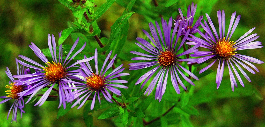 [DSC_0005-6%255B4%255D.jpg]