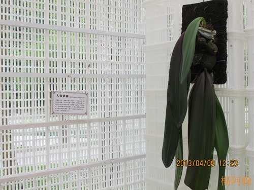 2013 綠色博覽會 - 051