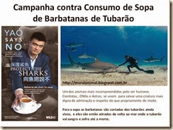 Campanha contra Consumo de Sopa de Barbatanas de_thumb[1]