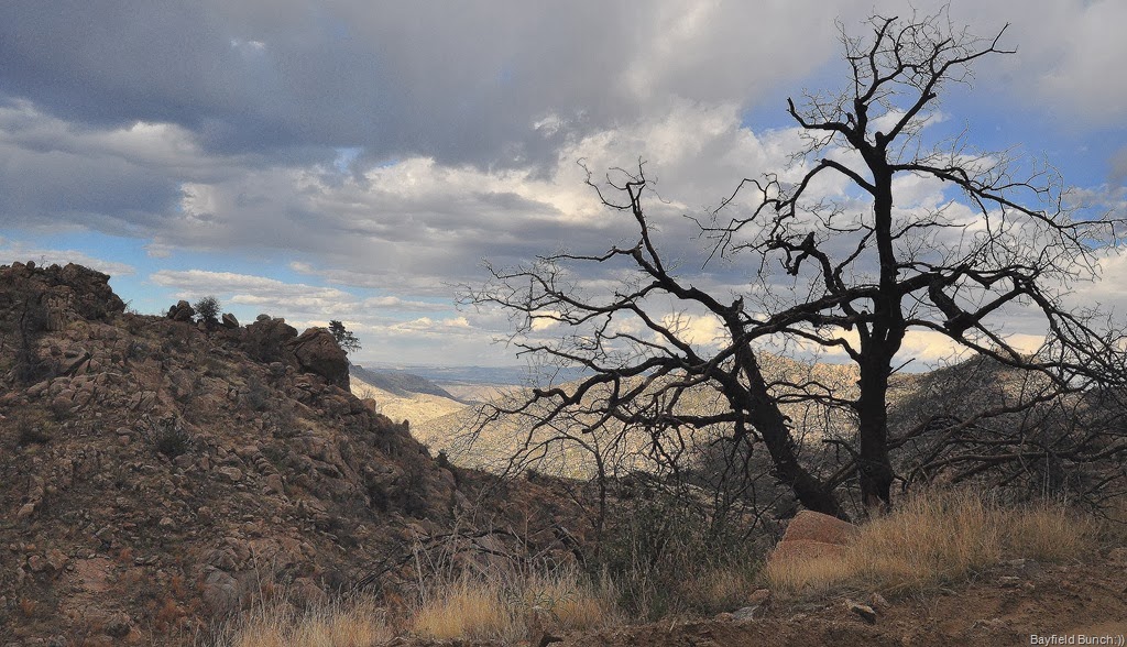 [DSC_0229%255B4%255D.jpg]