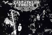Carpathian Forest