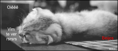 M.H.C.2014-345.gif