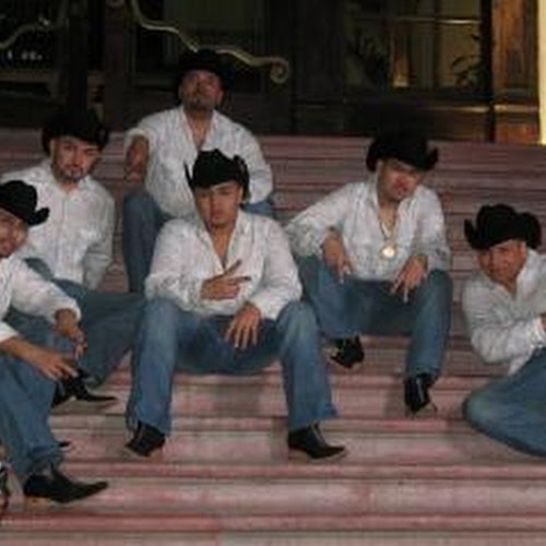 Aliados De La Sierra