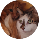 Image Google de Lena M