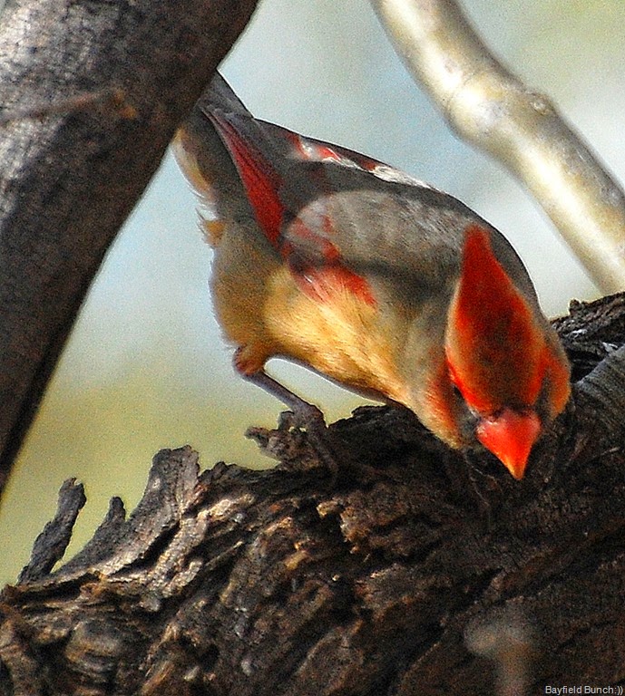 [DSC_3038%255B4%255D.jpg]