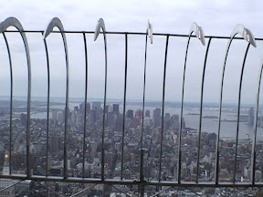 136 - Downtown desde el Empire State Building.JPG