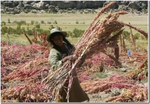 Tahua: localidad de Potosí - Bolivia informa Lugares de Potosí