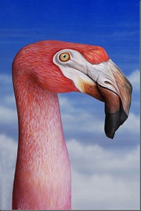 Flamingo1-226x340