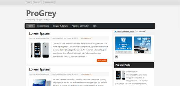 pro grey blogger template