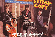 Stray Cats