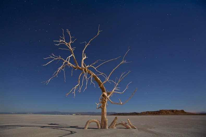 salton-sea-2 salton-sea-2