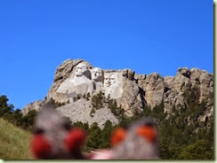 FR Mt Rushmore