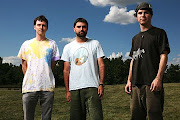 Animal Collective