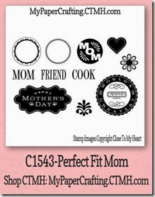 perfect fit mom-480