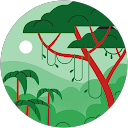 Image Google de STEEVY RUFFINEL