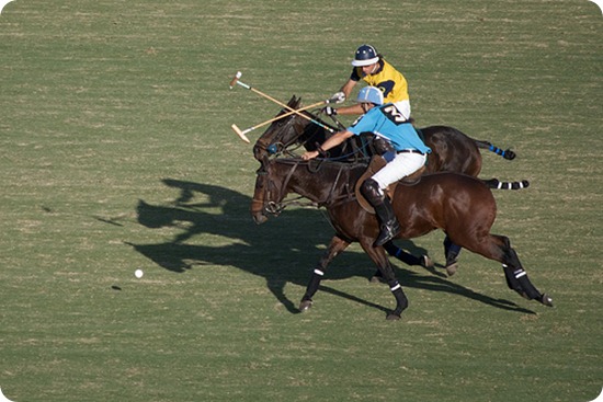 Polo-players-on-horses-crossing-sticks