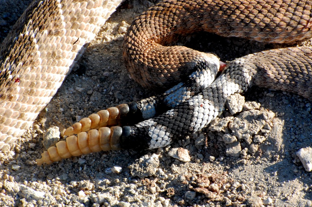 [DSC_8825%255B4%255D.jpg]