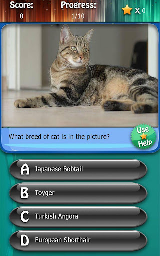 Kitty Cat Breeds Quiz HD
