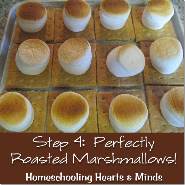 Perfectly roasted marshmallows from Your Toaster Oven!  How-to at Homeschooling Hearts & Minds