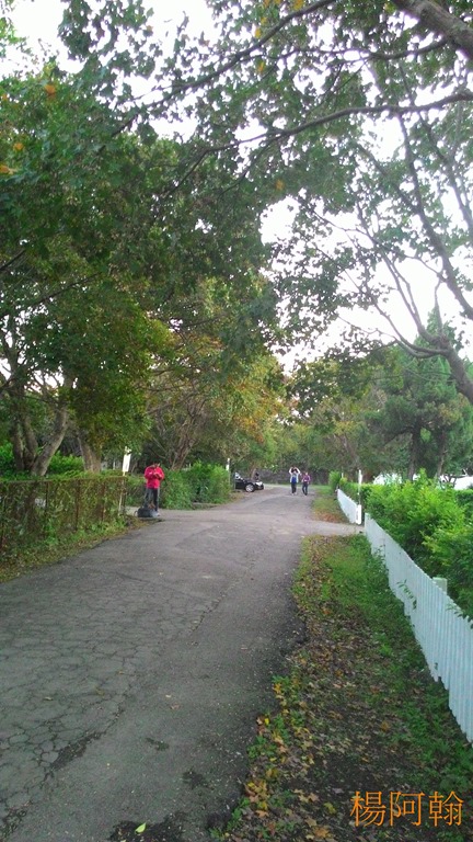 [1120-044---8.jpg]