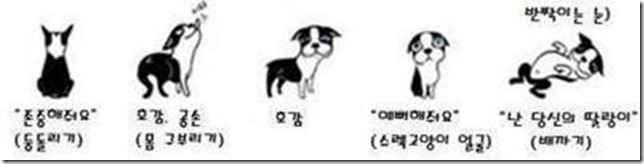 狗狗的30種身體語言