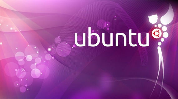ubuntu Quantal Quetzal