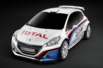 Peugeot-208-R5-5
