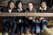 The Shins