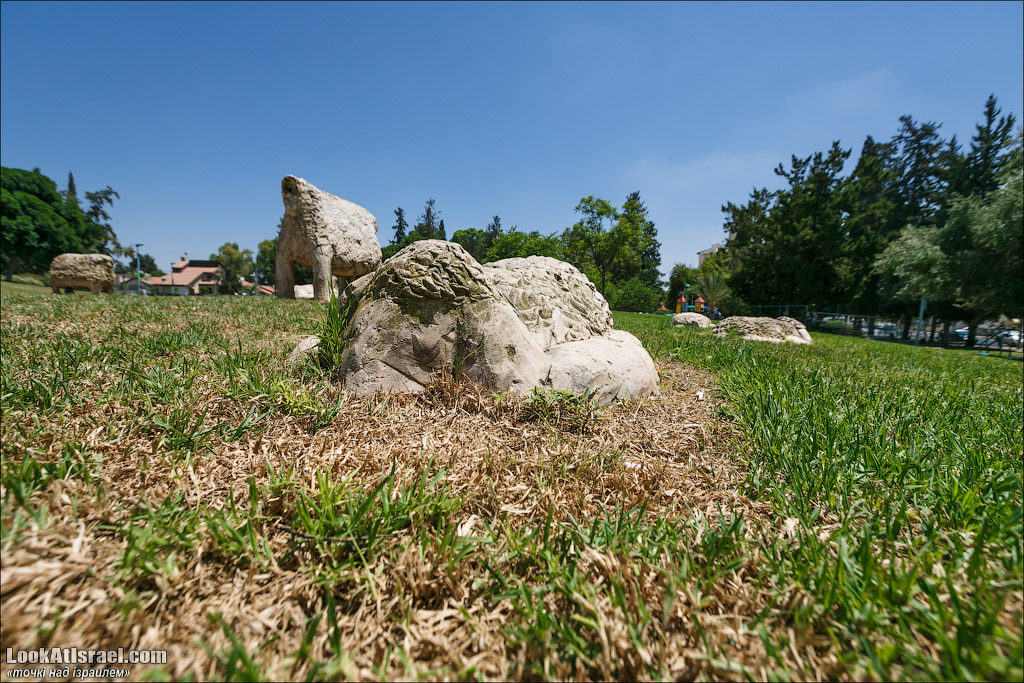 Серия рассказов о городах Израиля «Точки над i» - Рамле 