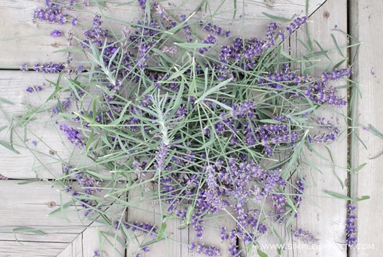 Dead Lavender Blooms from www.simpleispretty.com