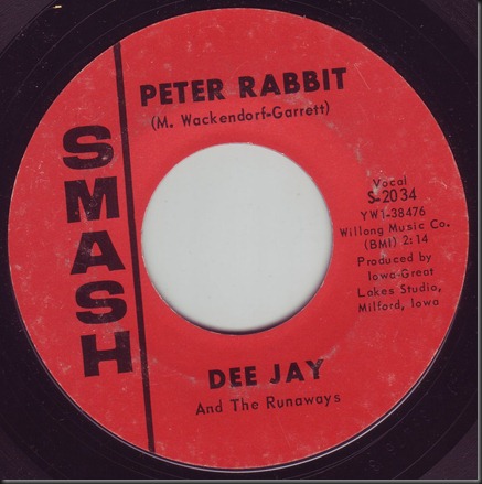 dee jay rabbit